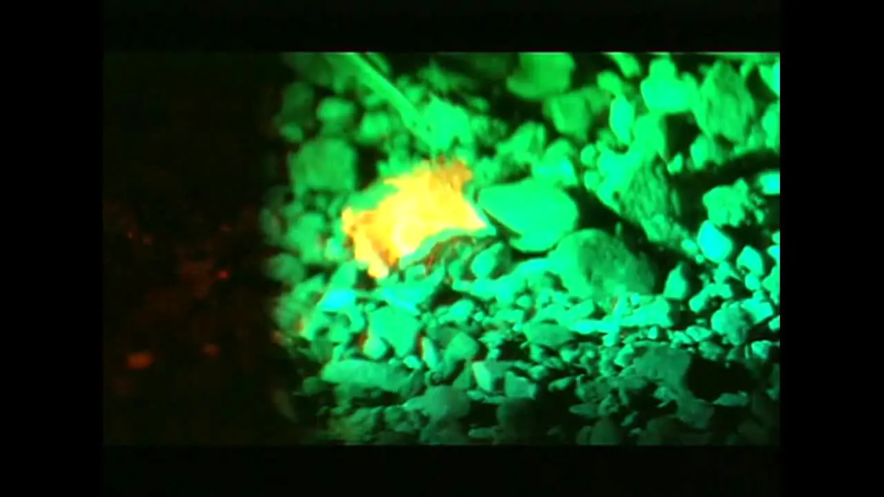 Forensic Files live