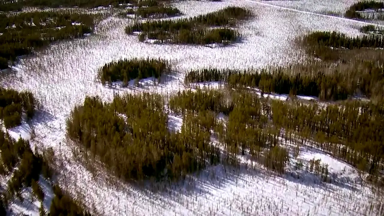 Ice Road Truckers live
