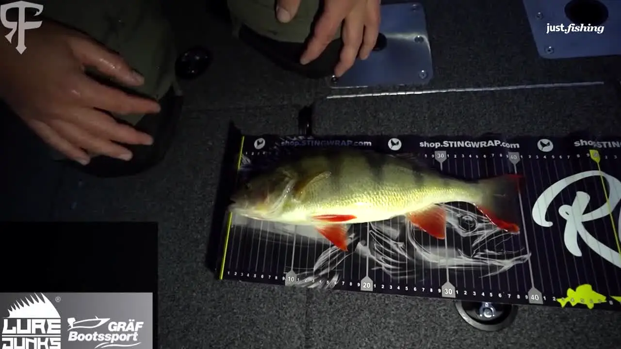 Just.fishing in diretta
