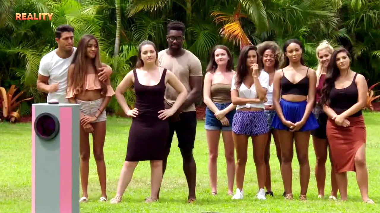 MTV Reality live