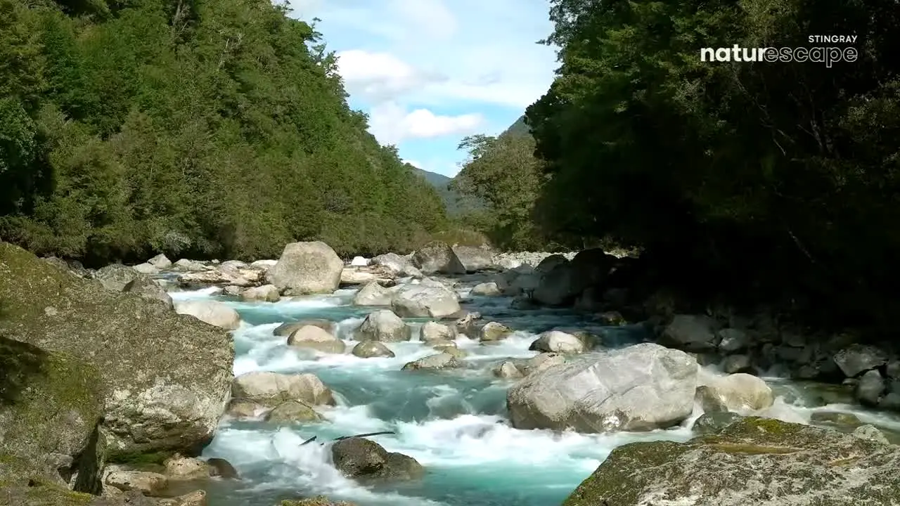 Naturescape in diretta