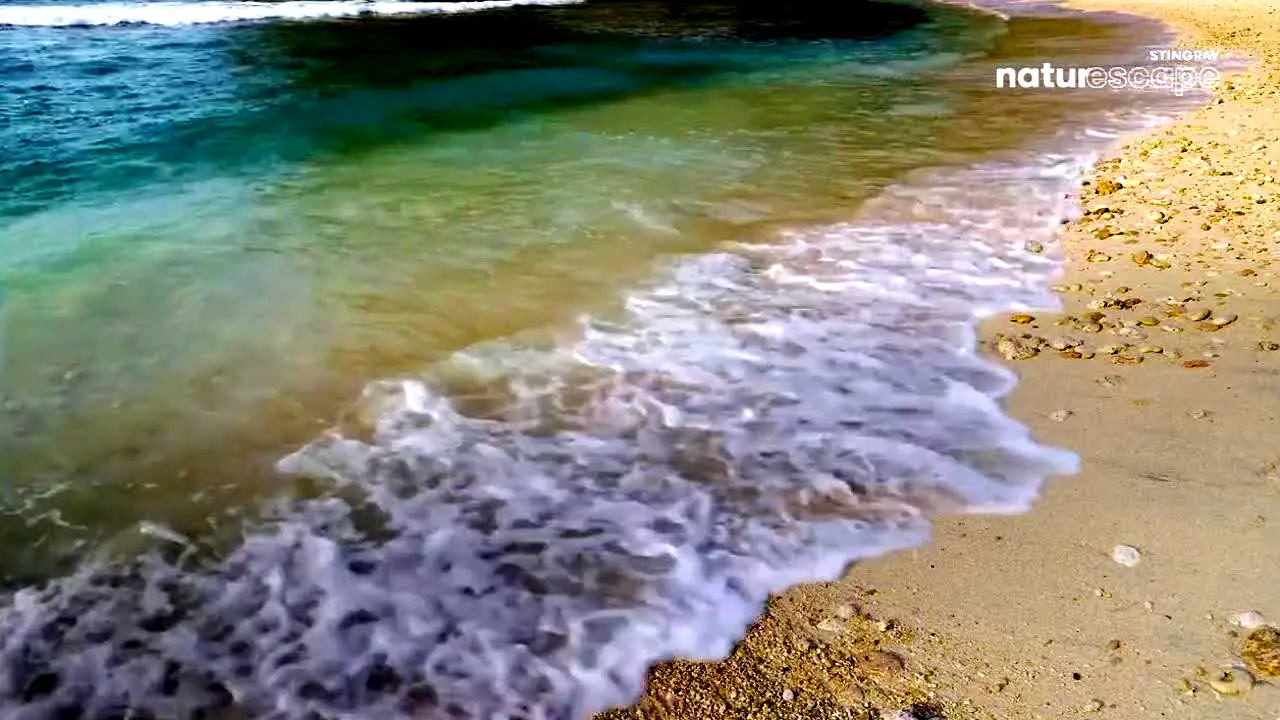 Naturescape live