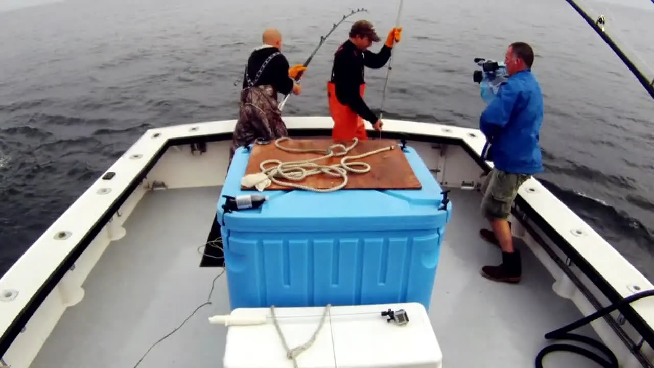 Pêche à haut risque live