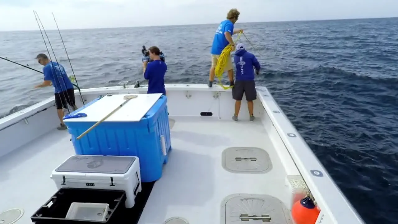 Pêche à haut risque live