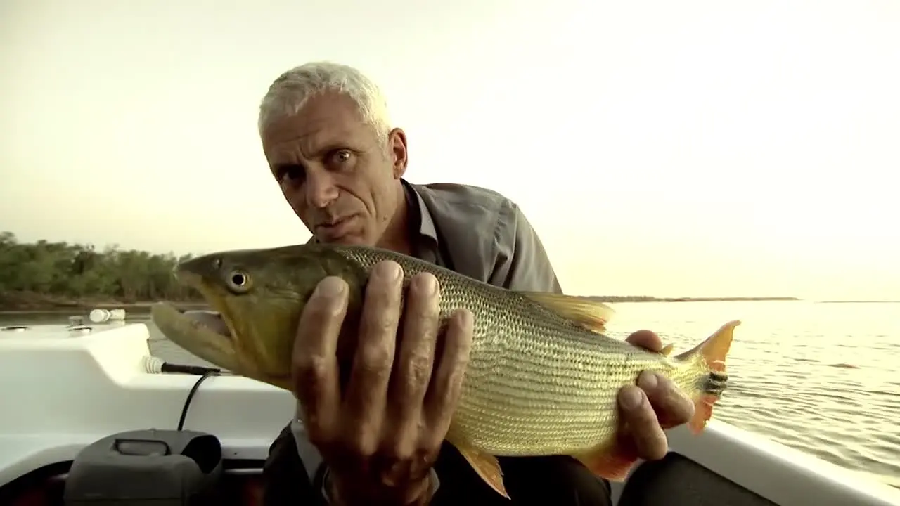 River Monsters en direct