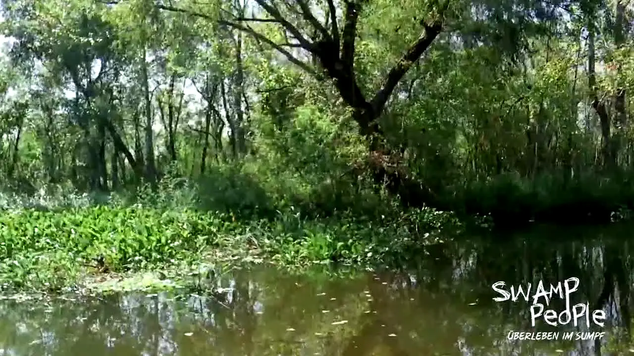 Swamp People live