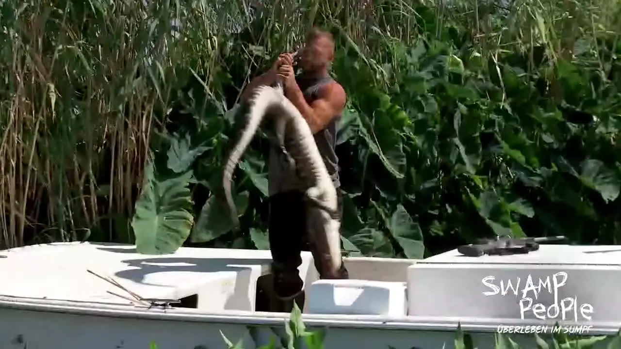 Swamp People live