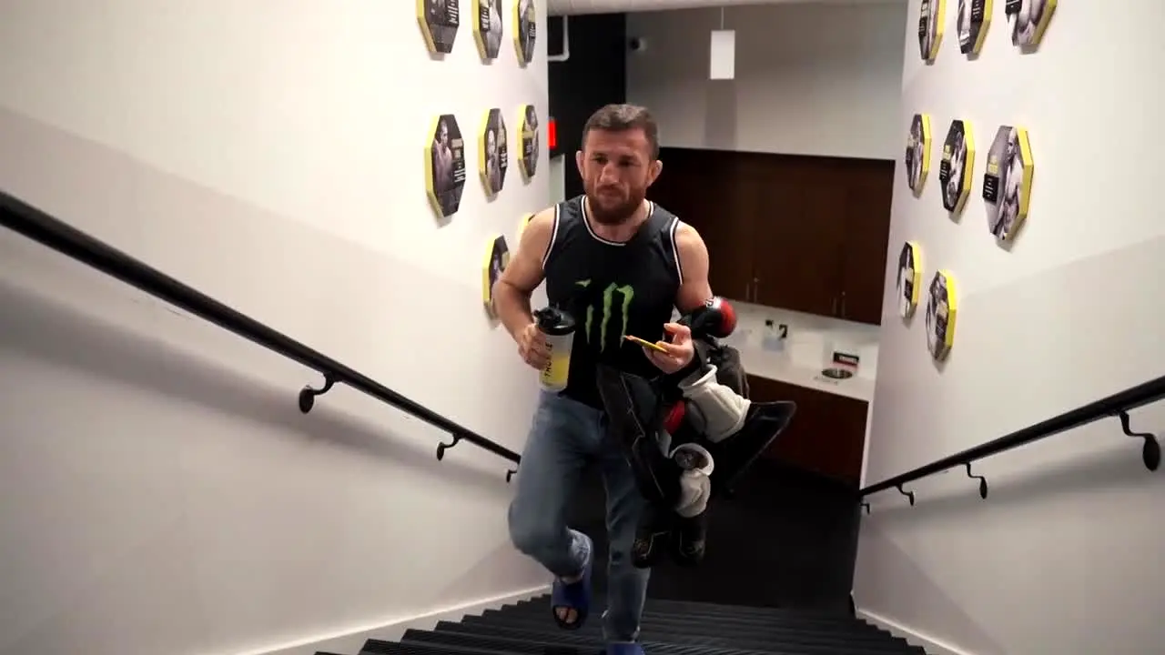 UFC live