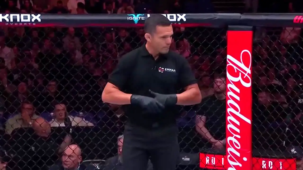 UFC live