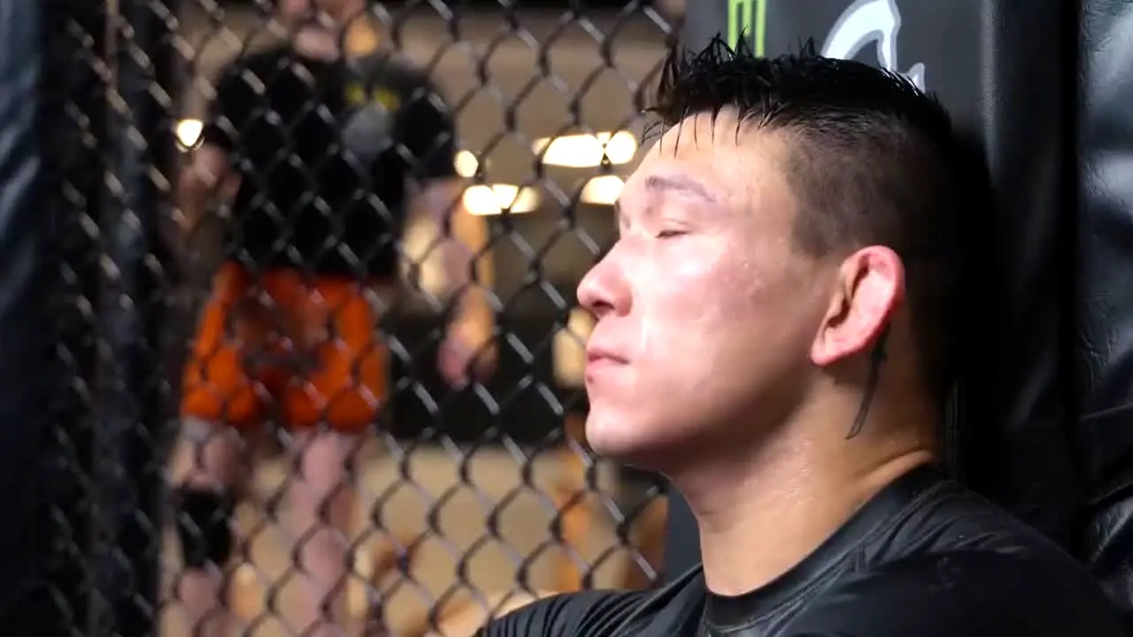 UFC na żywo