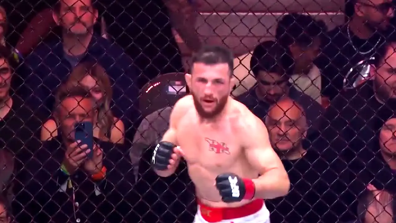 UFC live