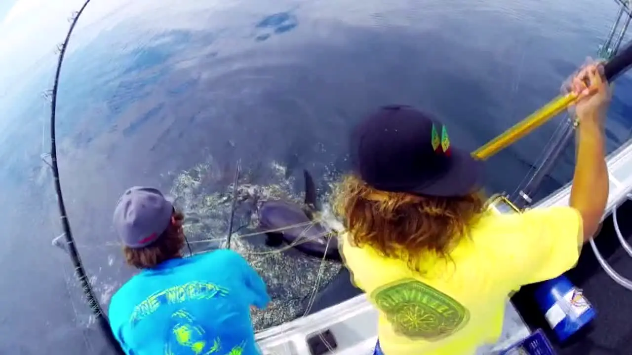 Wicked Tuna live