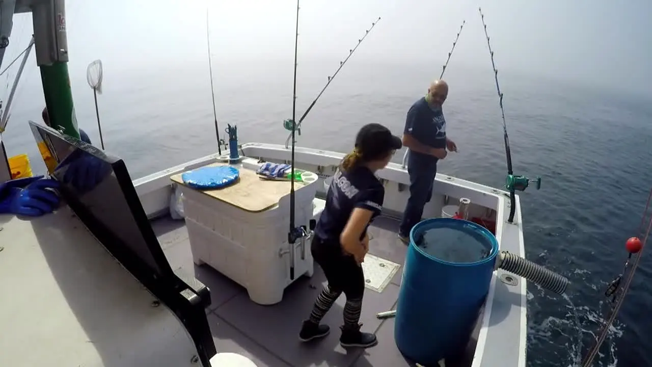 Wicked Tuna en vivo
