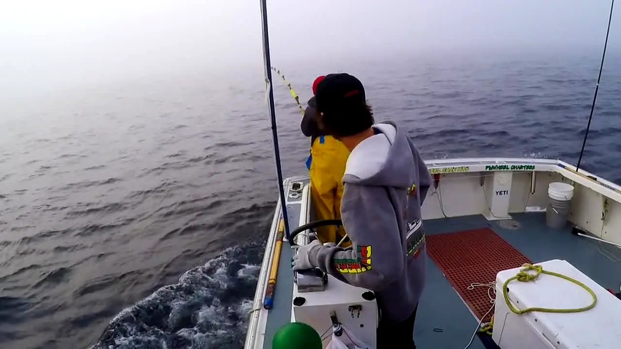 Wicked Tuna live