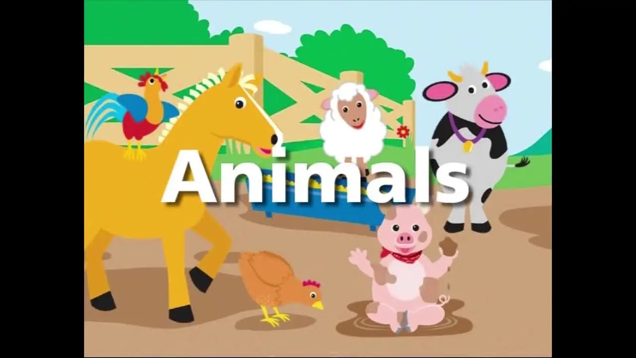Baby Einstein live