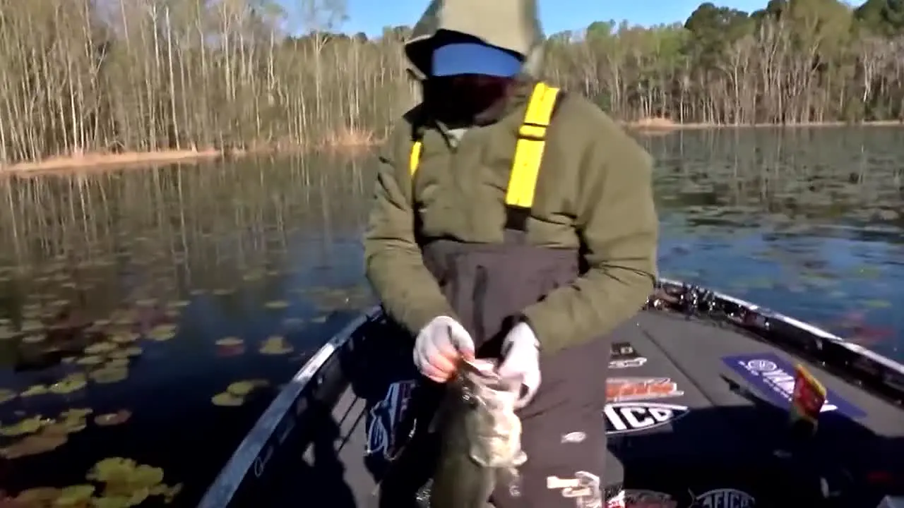 Bassmaster live