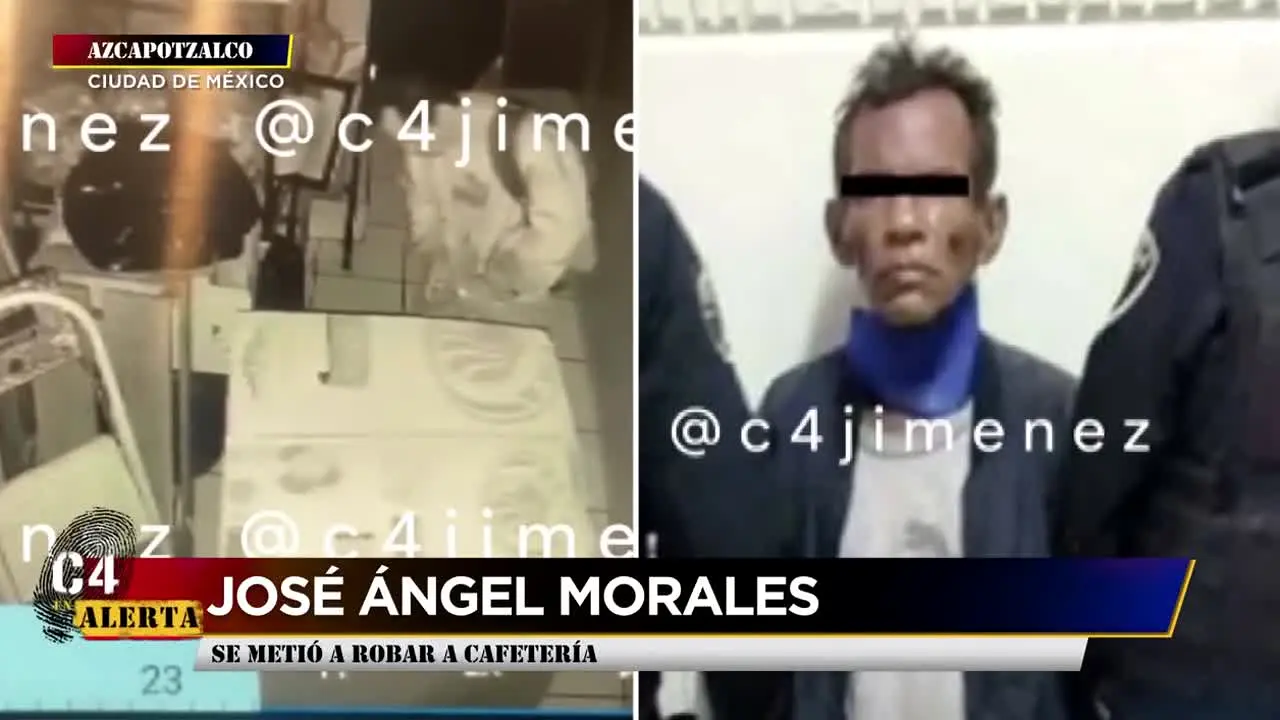 C4 en Alerta live