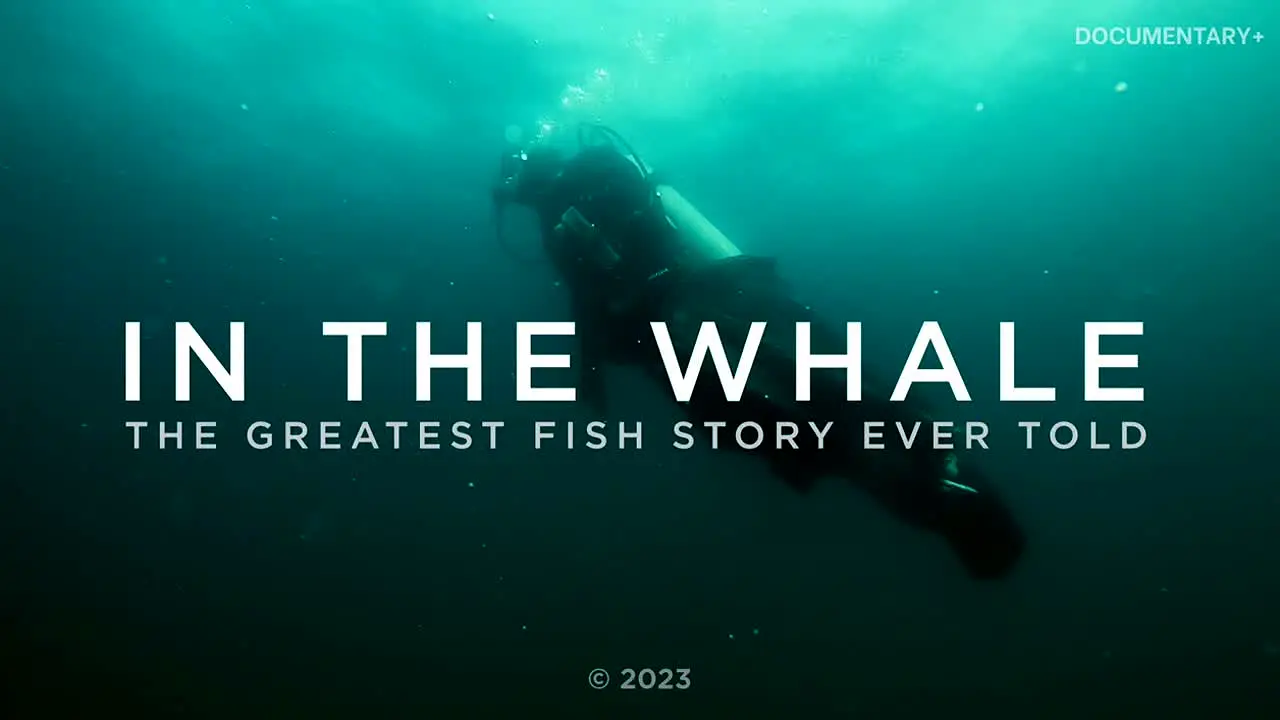 Documentary+ na żywo