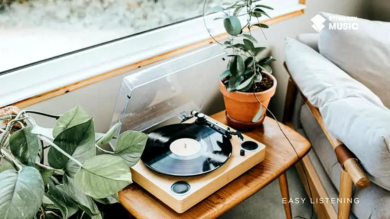 Easy Listening live