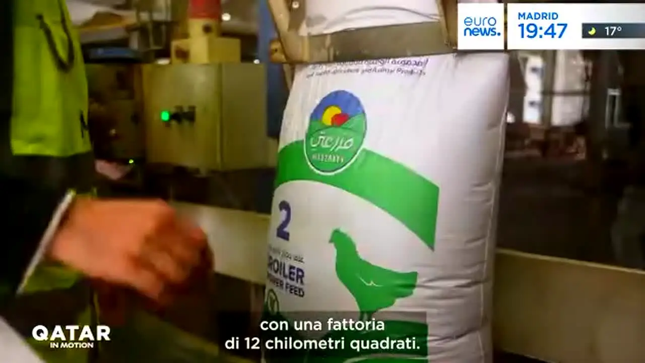 Euronews Italiano live