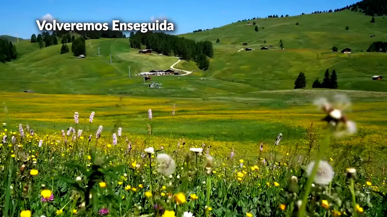 Naturaleza en vivo