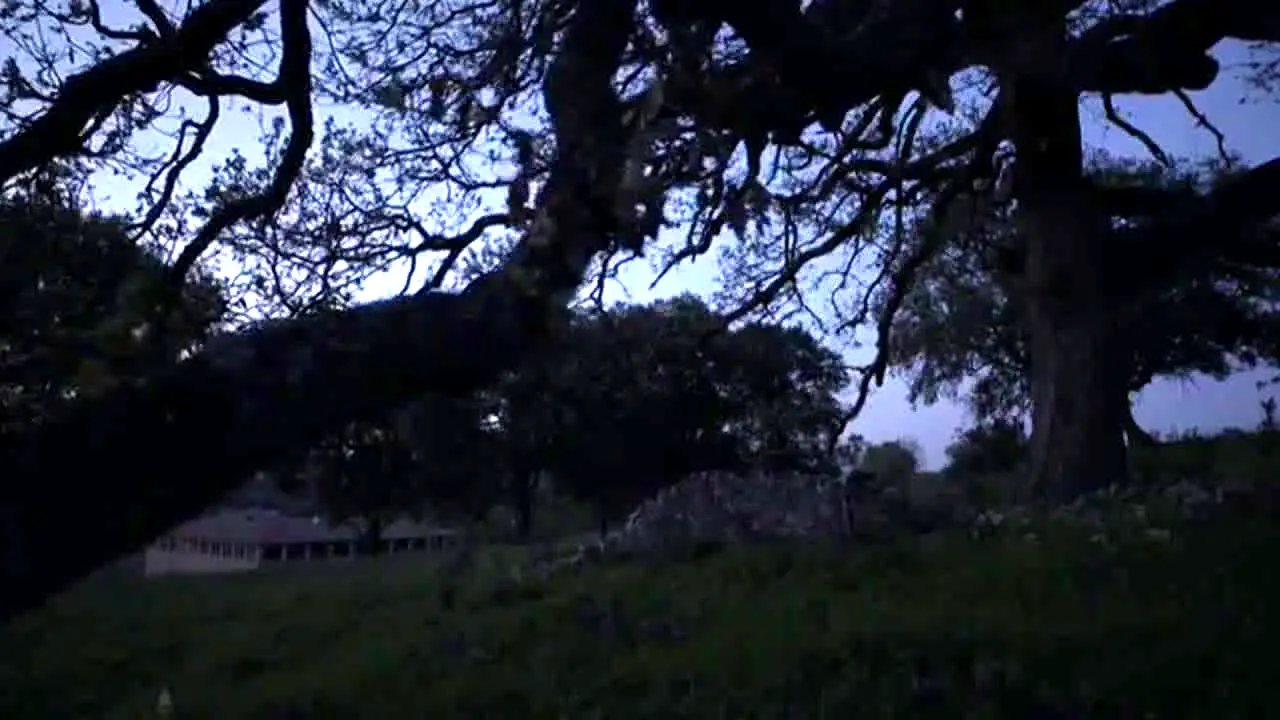 Naturaleza live