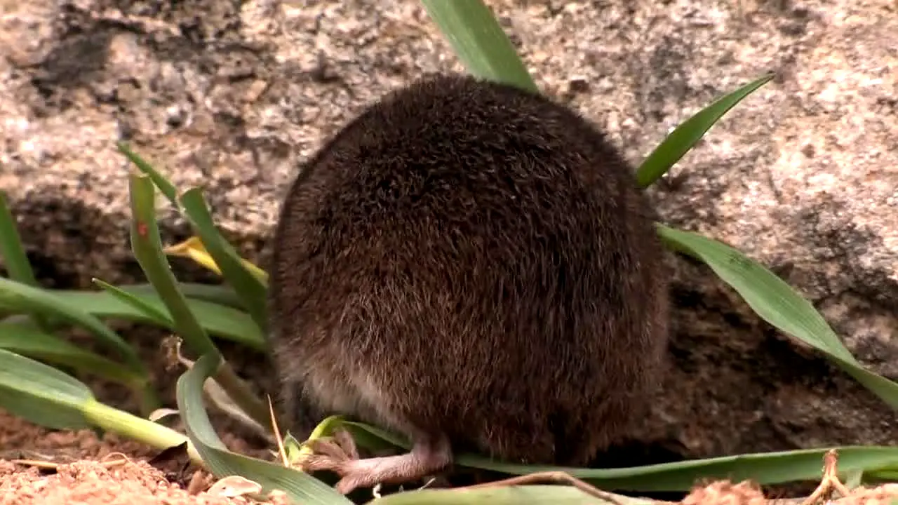 Naturaleza ao vivo