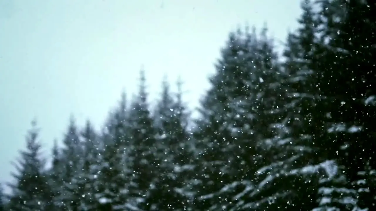 Slopes live