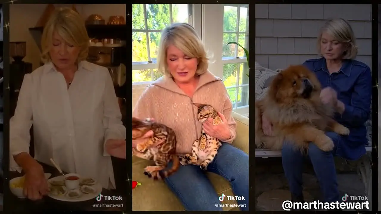 The Martha Stewart Channel live