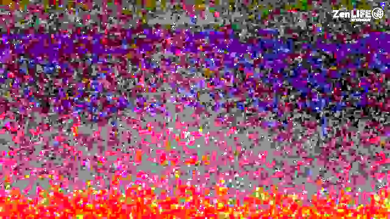 ZenLIFE by Stingray live
