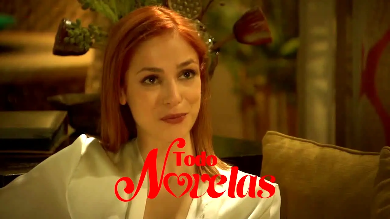 Todo Novelas in diretta