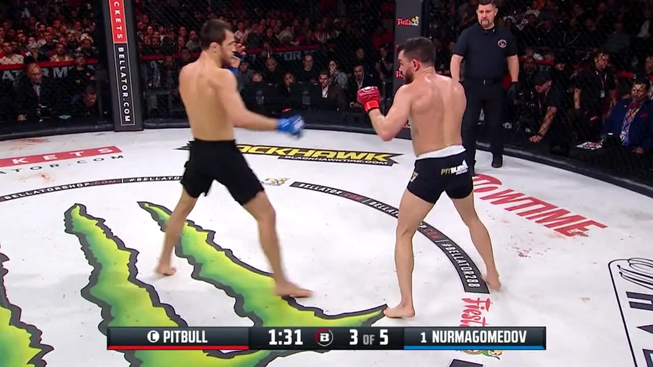 Bellator MMA live