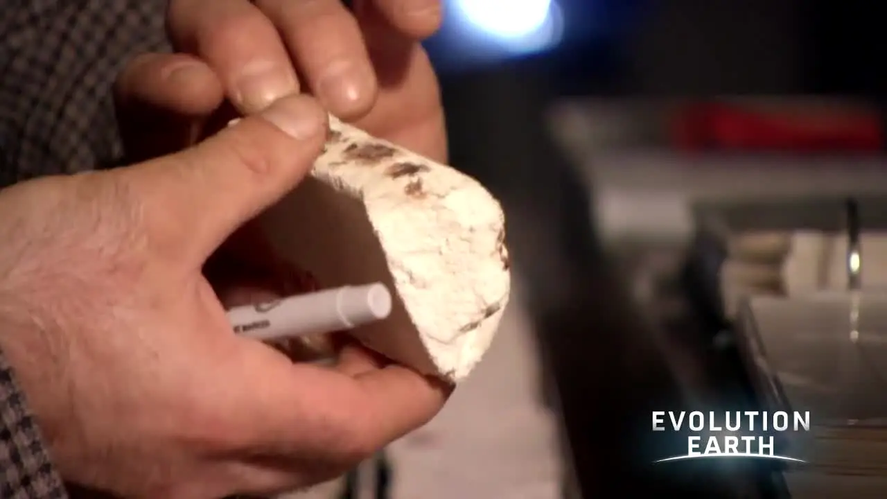 Evolution Earth ao vivo