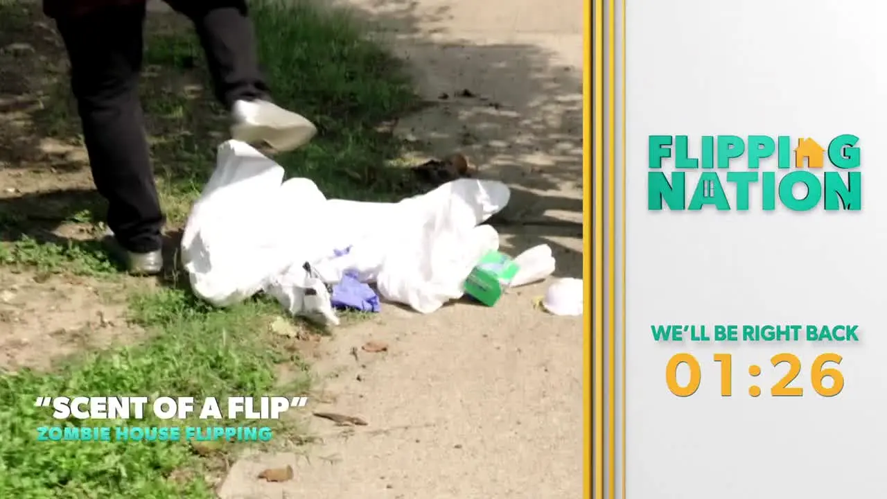 Flipping Nation na żywo