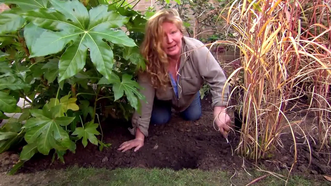 Garden Rescue live