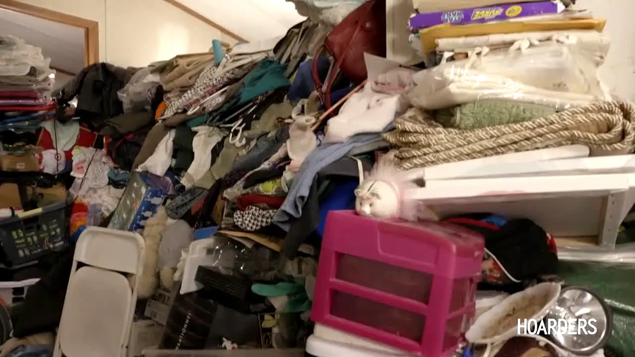 Hoarders live
