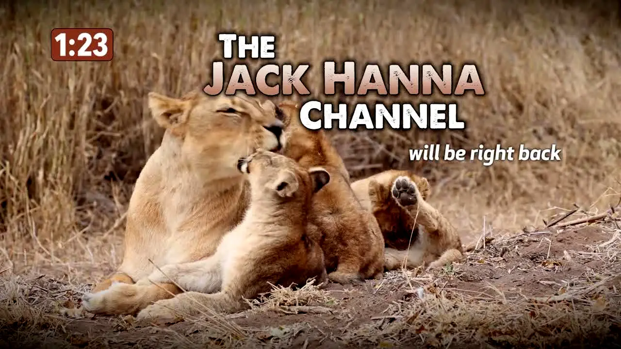 Jack Hanna live