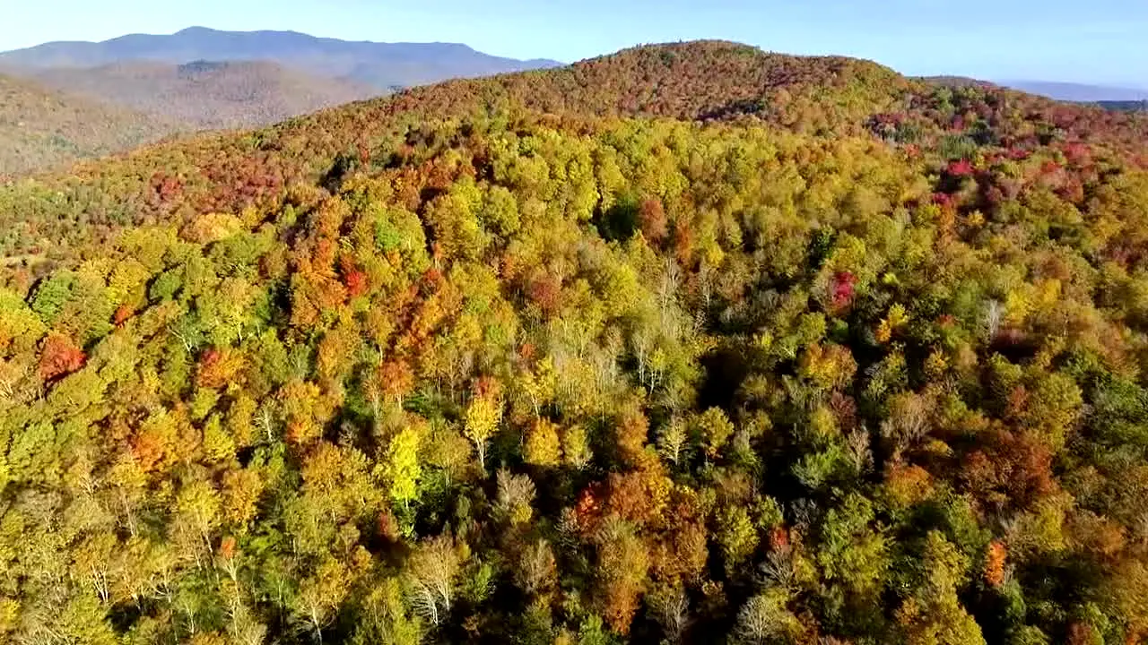 Fall Vibes live