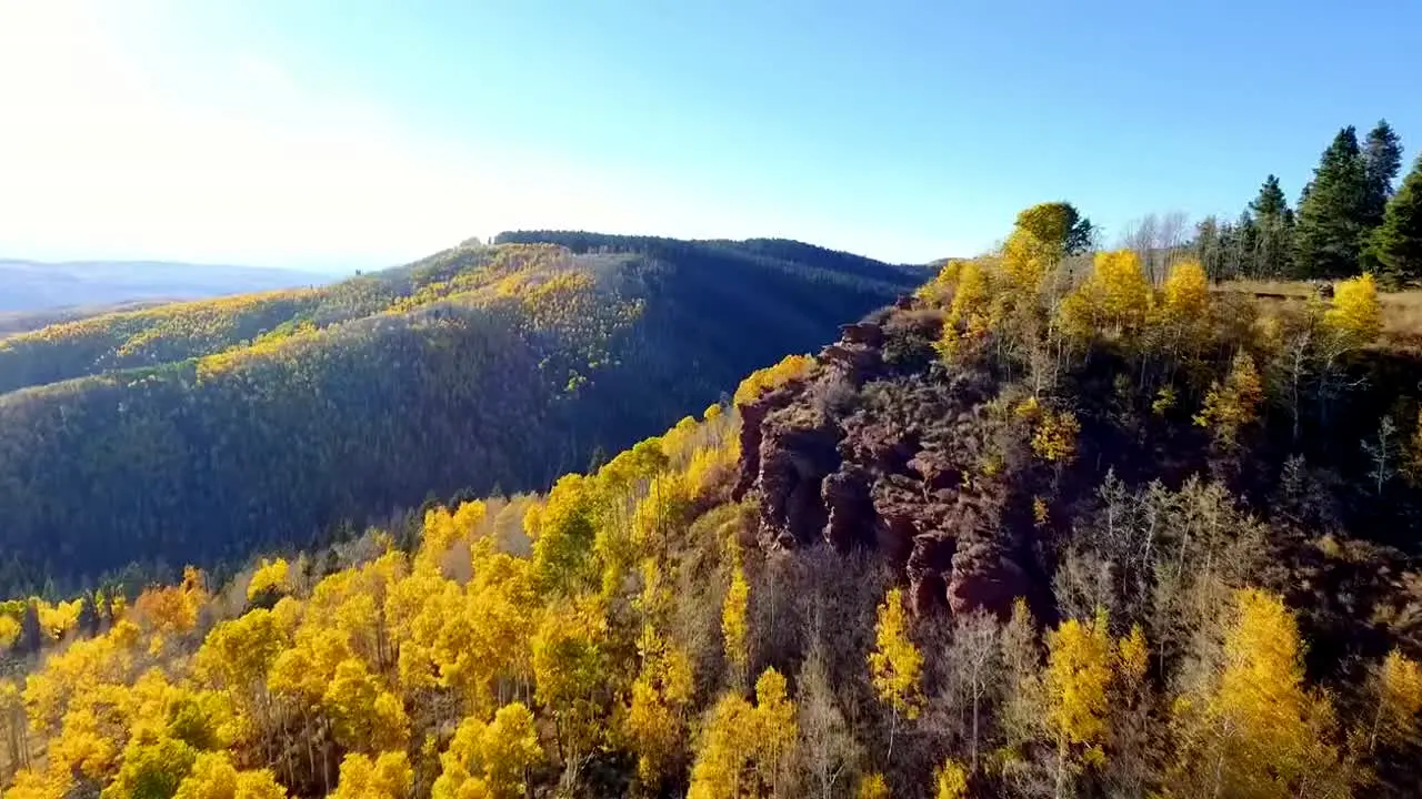 Fall Vibes in diretta