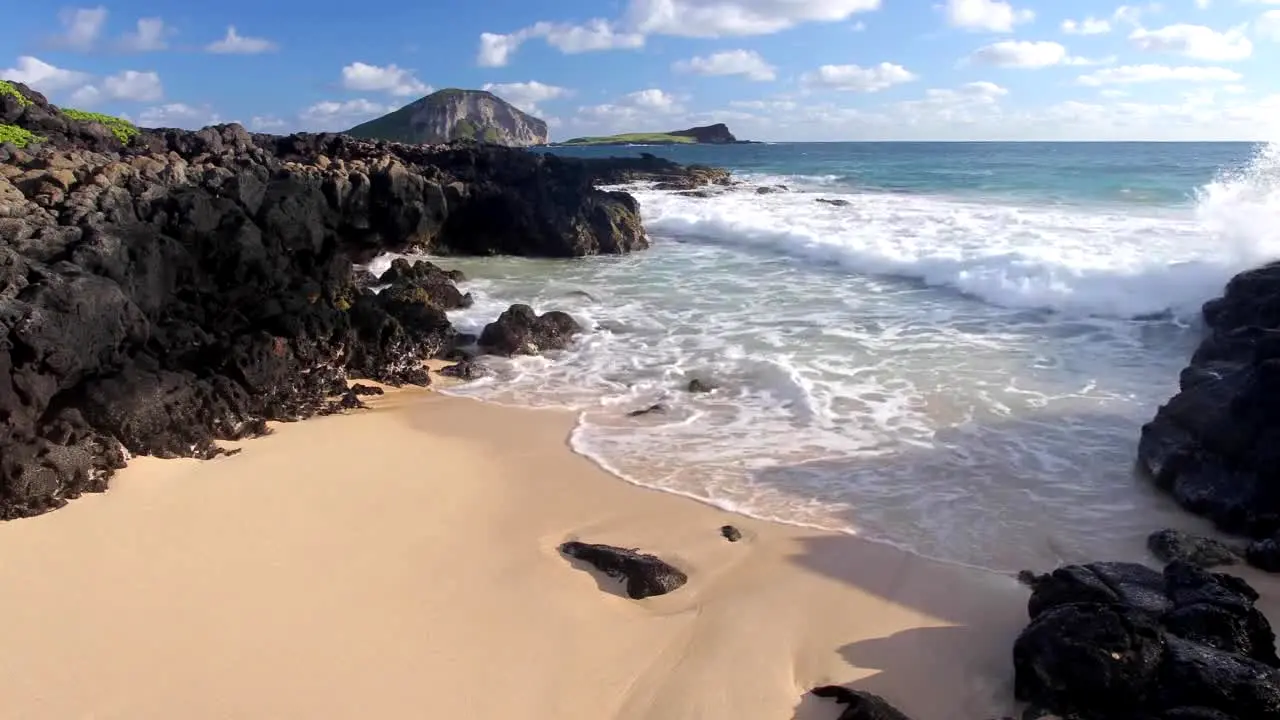 Stingray Naturescape en direct
