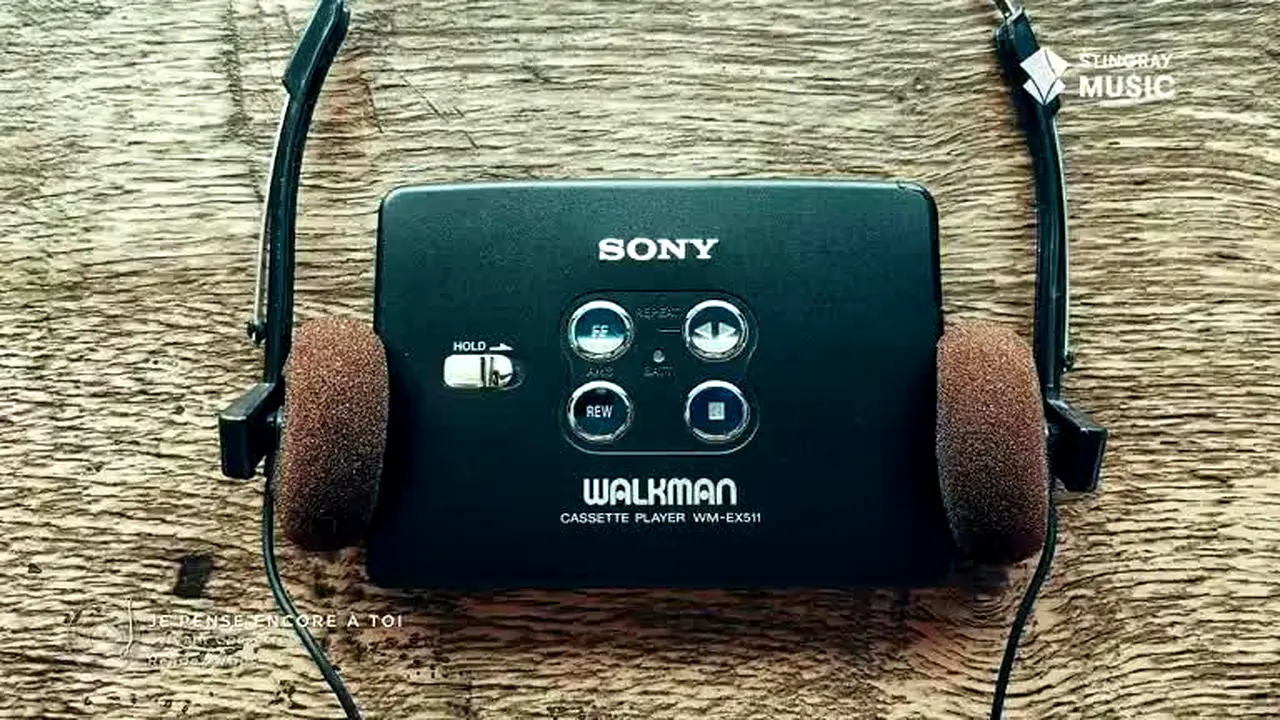 Stingray Souvenirs live