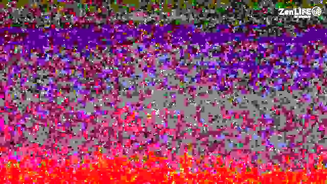 ZenLIFE by Stingray live
