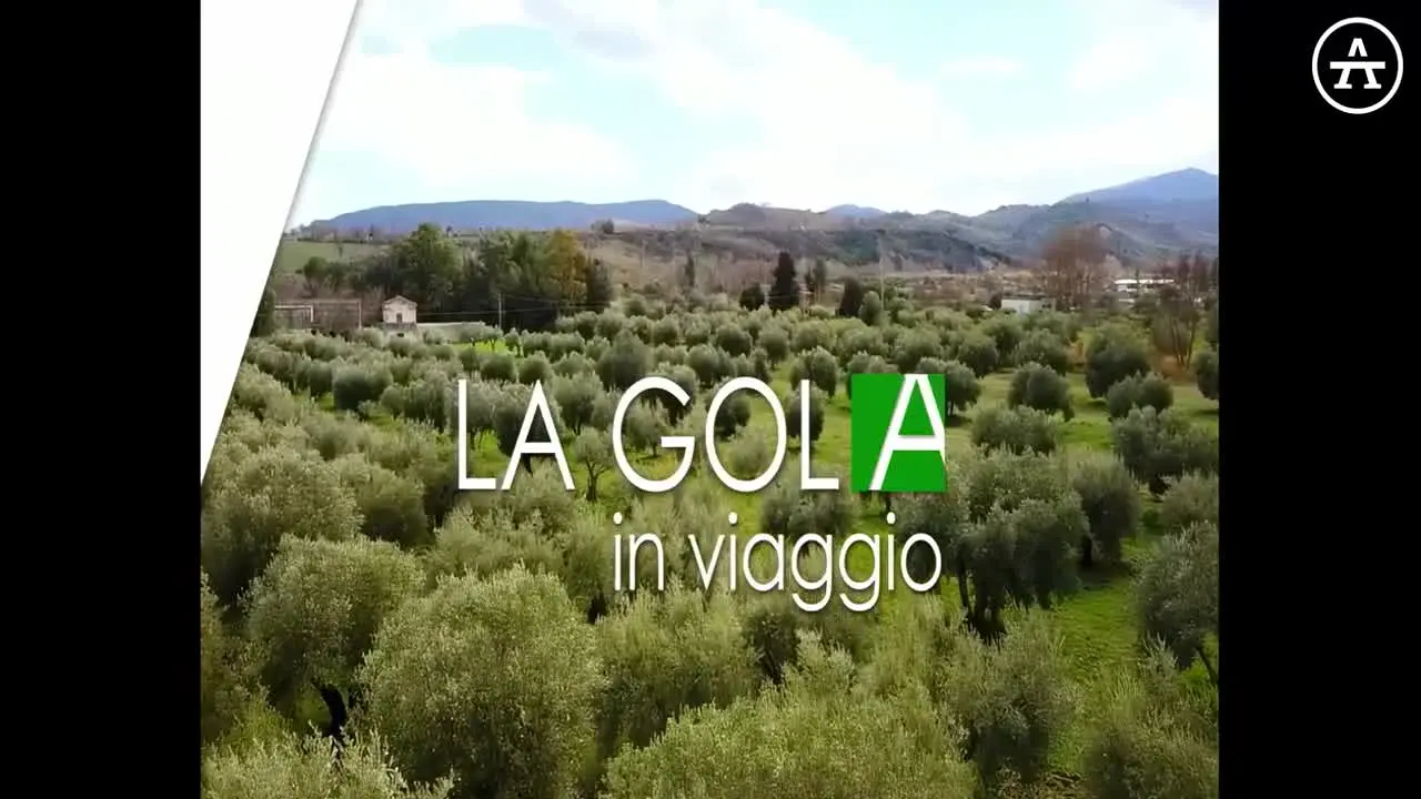 A Tavola live