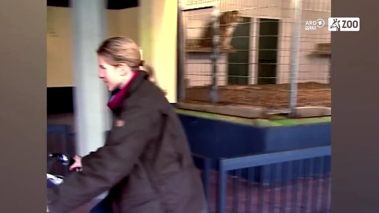 ARD Plus Zoo live