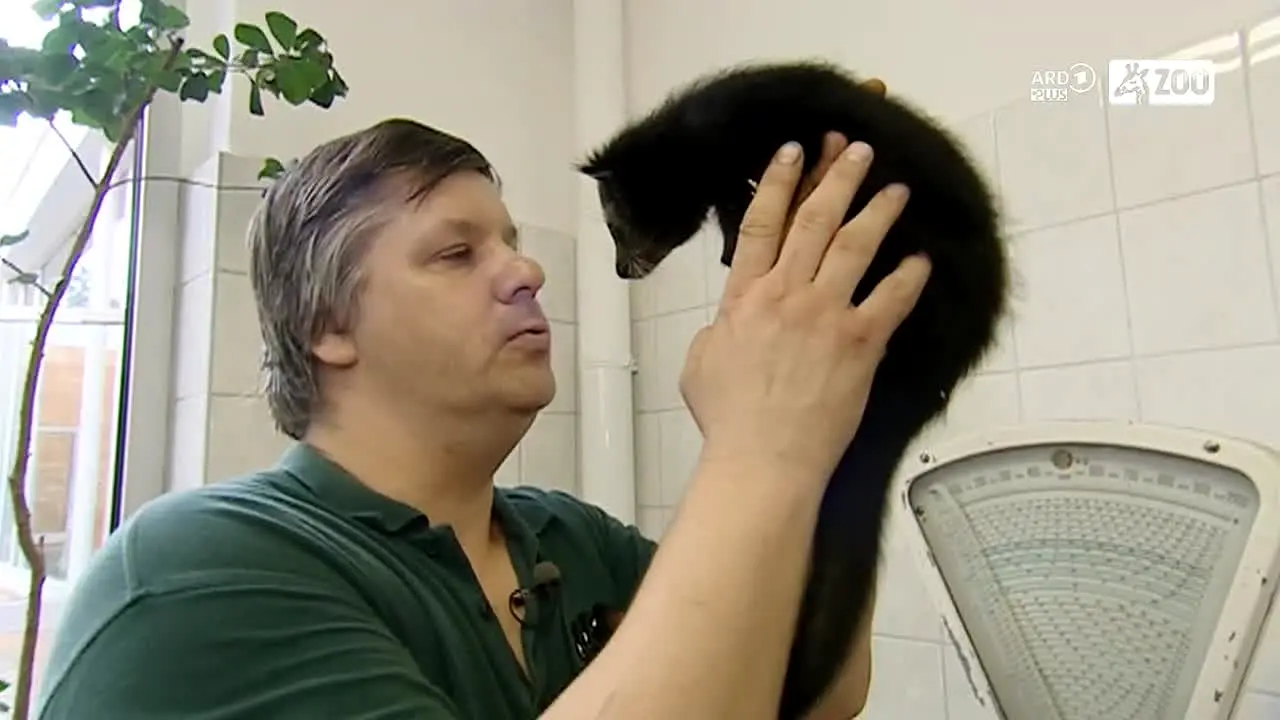 ARD Plus Zoo in diretta