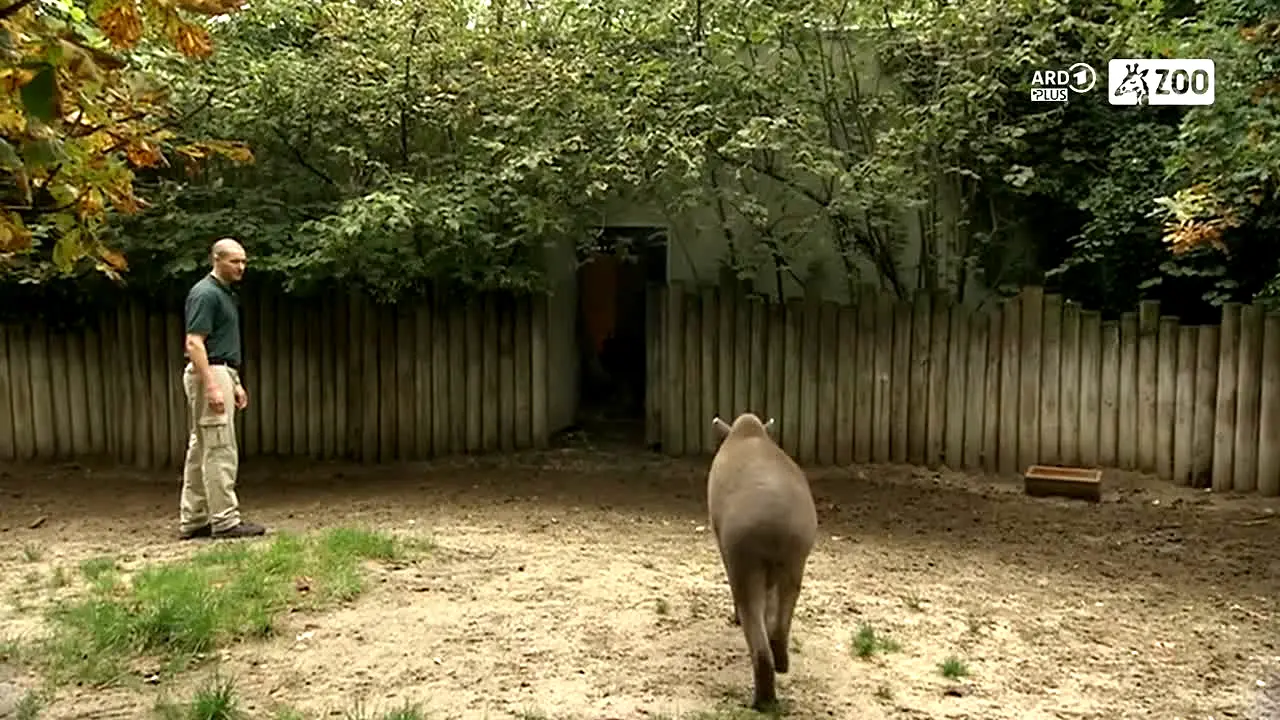 ARD Plus Zoo in diretta