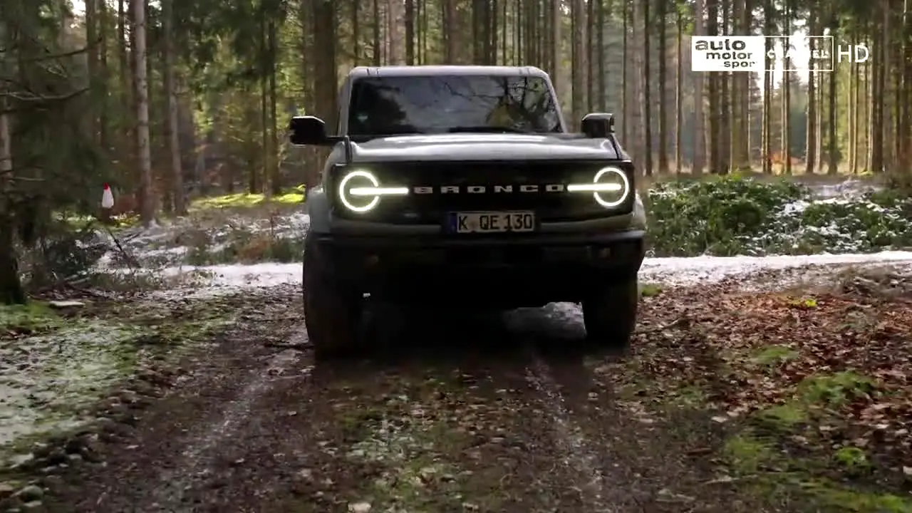 auto motor und sport live