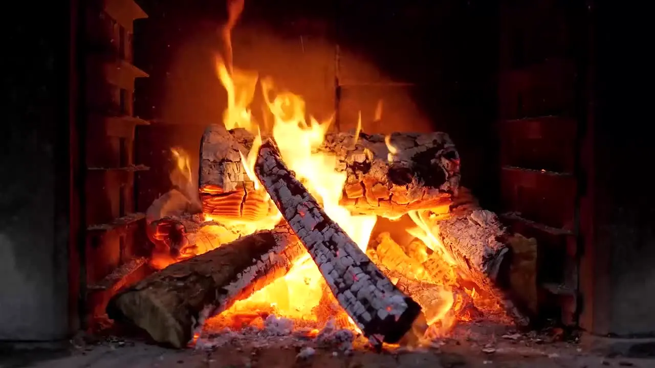 Cozy Vibes en vivo