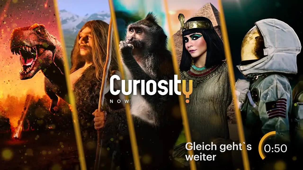 CURIOSITY Now ao vivo