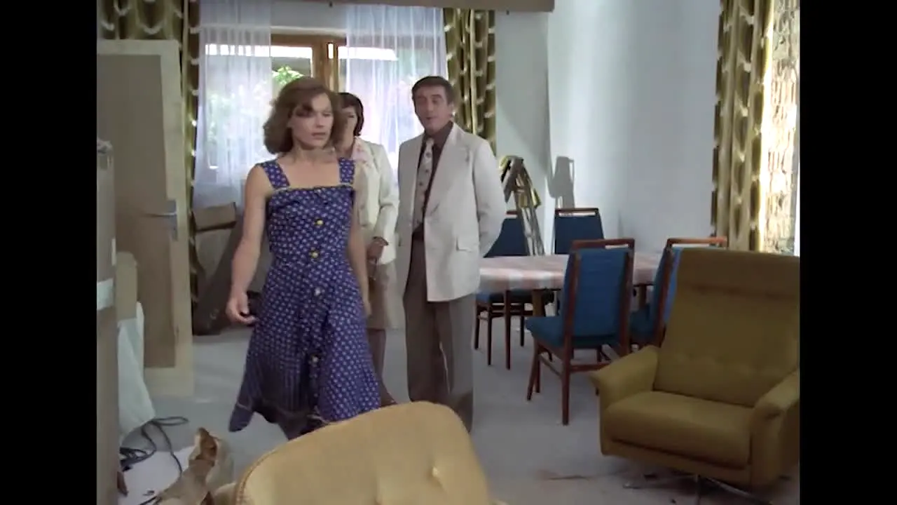 DDR TV-Archiv live